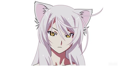 Tsubasa Hanekawa debujo